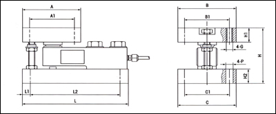 CW稱重模塊，托利多CW稱重模塊